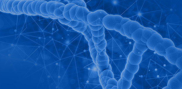 <p><br><font size=2px  font color=#abe8fe>&nbsp;&nbsp;STEM CELL CENTER</font><br> <font size=5px><b>&nbsp;줄기세포센터</b></font></p>