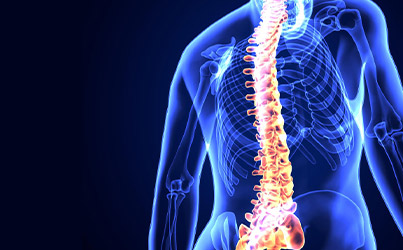 <p><br><font size=3px  font color=#abe8fe>&nbsp;&nbsp;&nbsp;&nbsp;SPINE CENTER</font><br> <font size=6px><b>&nbsp;&nbsp;척추센터</b></font></p>