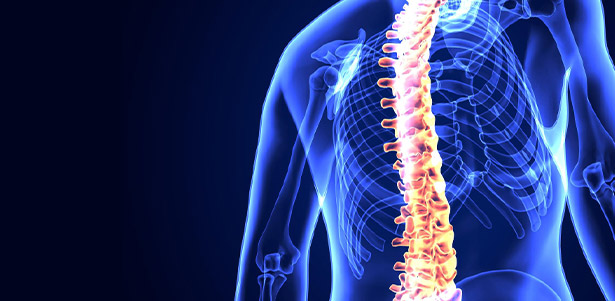 <p><br><font size=2px  font color=#abe8fe>&nbsp;&nbsp;SPINE CENTER</font><br> <font size=5px><b>&nbsp;척추센터</b></font></p>